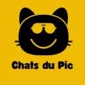 Chats du Pic